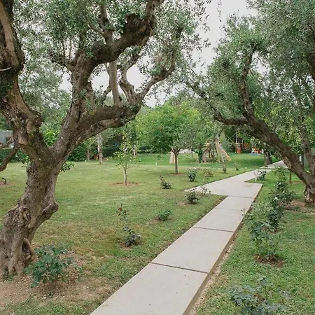 Unique Space With Garden And Garage ריו